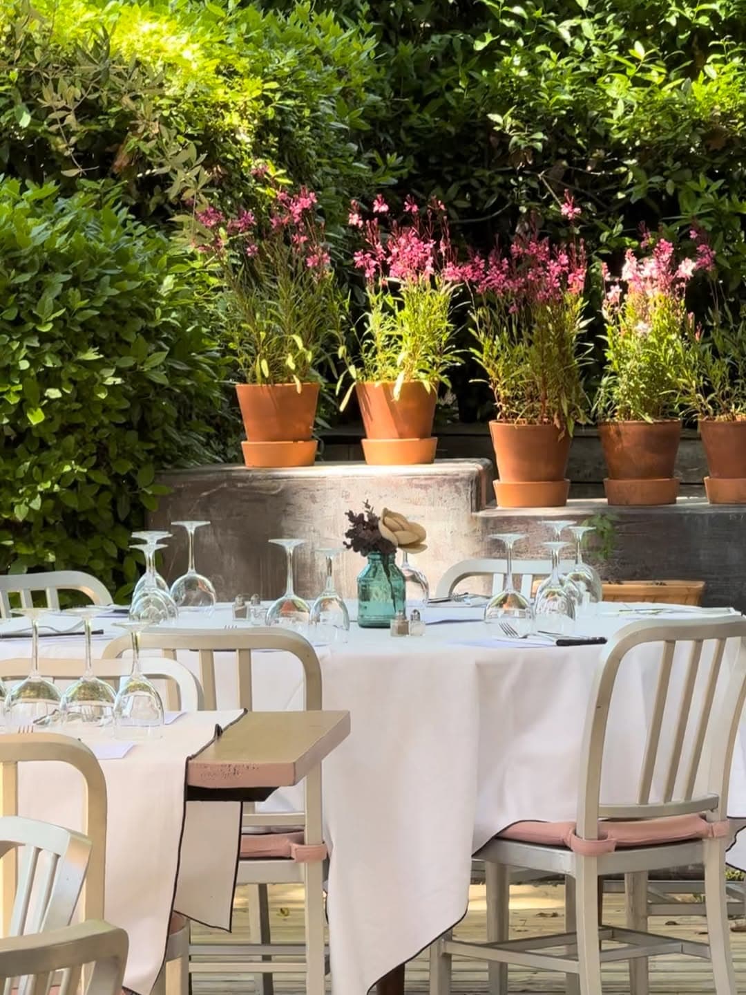Table dressée en terrasse avec pots fleuris